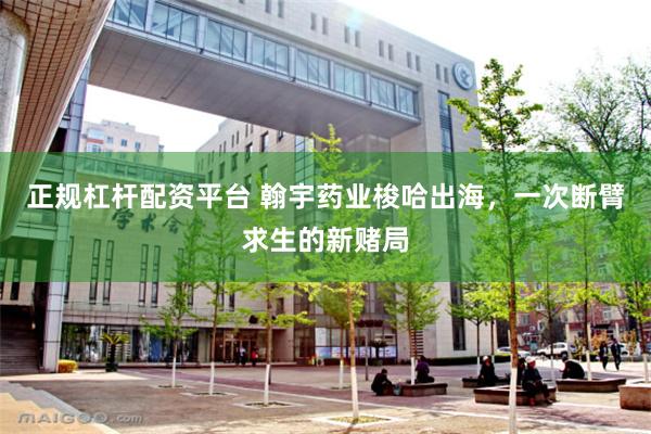 正规杠杆配资平台 翰宇药业梭哈出海，一次断臂求生的新赌局