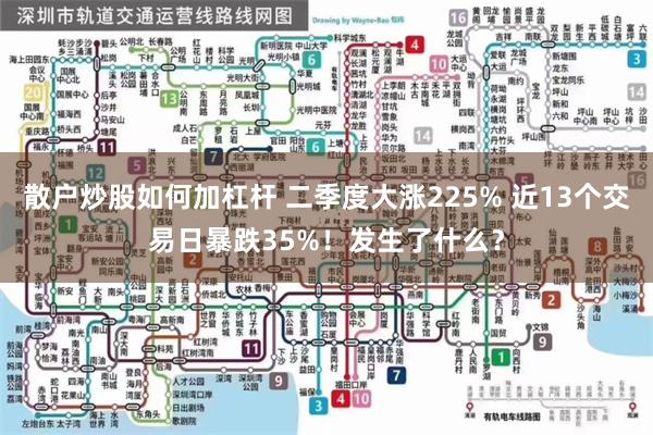 散户炒股如何加杠杆 二季度大涨225% 近13个交易日暴跌35%！发生了什么？