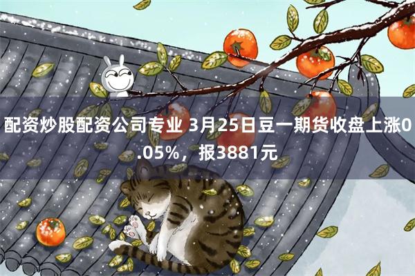 配资炒股配资公司专业 3月25日豆一期货收盘上涨0.05%，报3881元