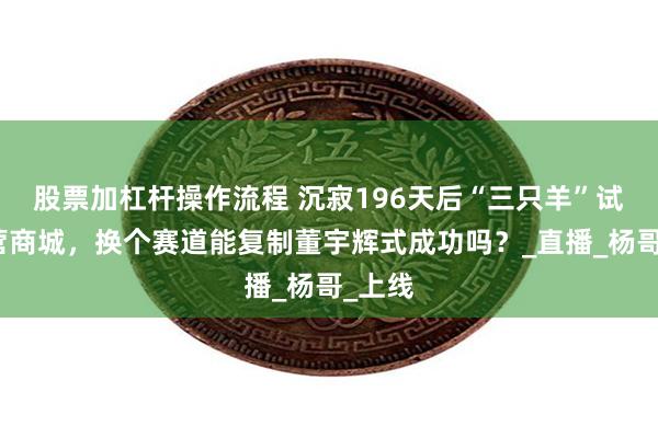 股票加杠杆操作流程 沉寂196天后“三只羊”试水自营商城，换个赛道能复制董宇辉式成功吗？_直播_杨哥_上线