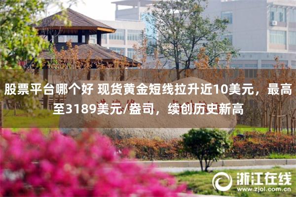 股票平台哪个好 现货黄金短线拉升近10美元，最高至3189美元/盎司，续创历史新高