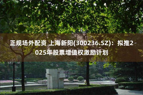正规场外配资 上海新阳(300236.SZ)：拟推2025年股票增值权激励计划