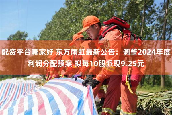 配资平台哪家好 东方雨虹最新公告：调整2024年度利润分配预案 拟每10股派现9.25元