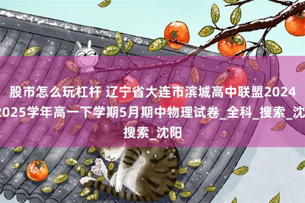 股市怎么玩杠杆 辽宁省大连市滨城高中联盟2024-2025学年高一下学期5月期中物理试卷_全科_搜索_沈阳