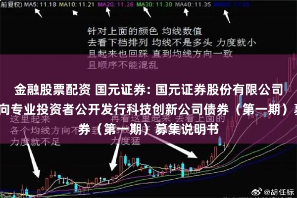 金融股票配资 国元证券: 国元证券股份有限公司2025年面向专业投资者公开发行科技创新公司债券(第一期)募集说明书