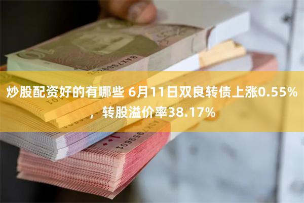 炒股配资好的有哪些 6月11日双良转债上涨0.55%，转股溢价率38.17%