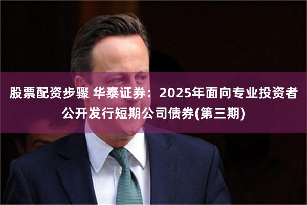 股票配资步骤 华泰证券：2025年面向专业投资者公开发行短期公司债券(第三期)