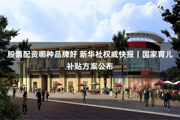 股票配资哪种品牌好 新华社权威快报丨国家育儿补贴方案公布